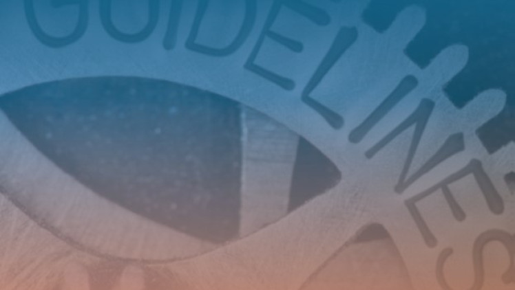 Good Practice Guidelines for the Enterprise Risk Management Function