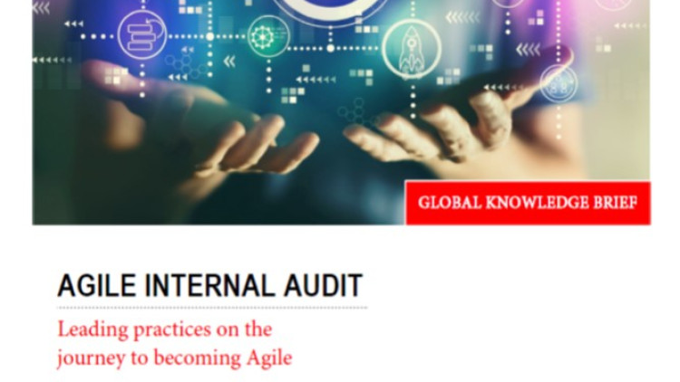 Agil Internal Audit