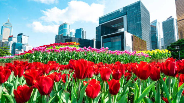 Internal auditor as Gardener of Governance