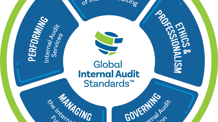 Global Internal Audit Standards (2024)