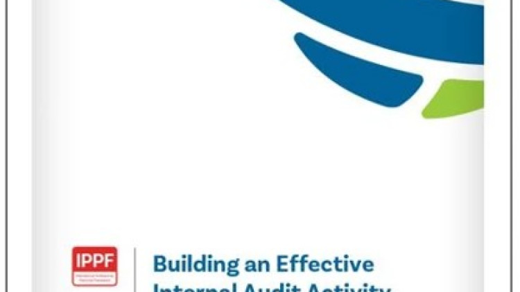 Building an Effective Internal Audit Activity in the Public Sector