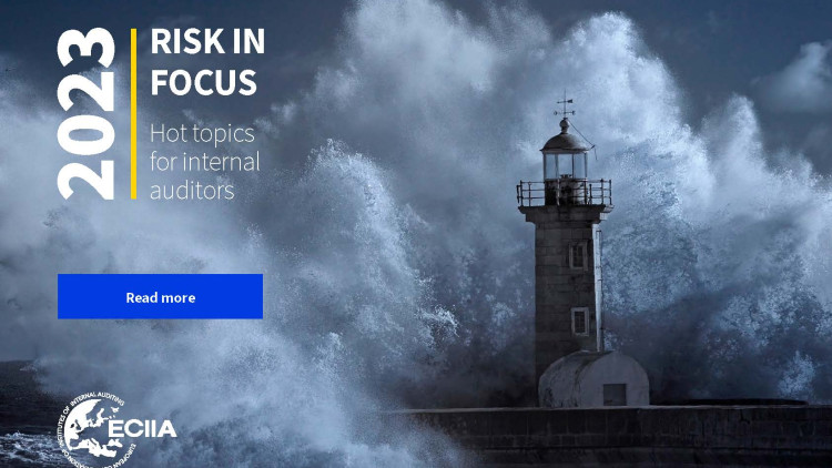 Risk in Focus 2023
