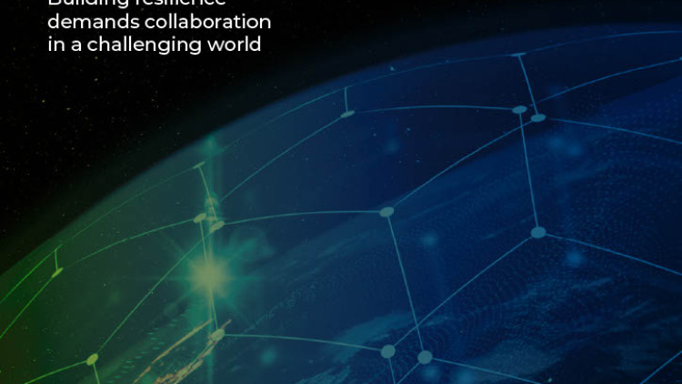 Navigating geopolitical risk