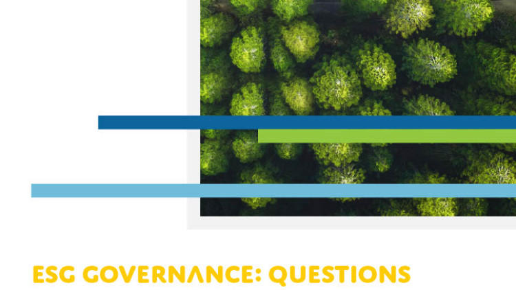ESG governance: questions boards should ask to lead the sustainability transition