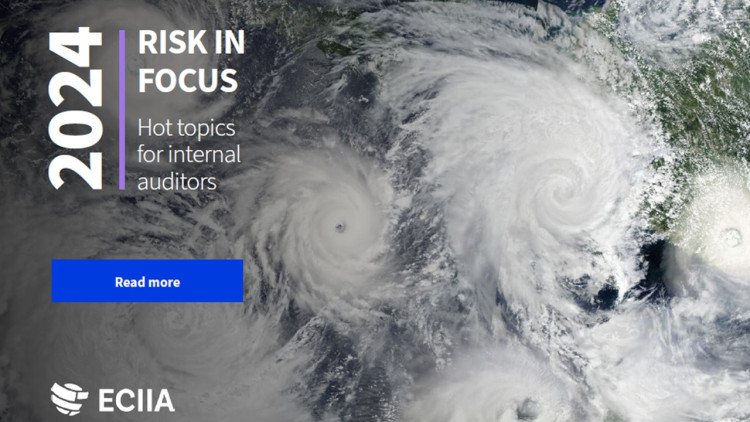 Risk in Focus