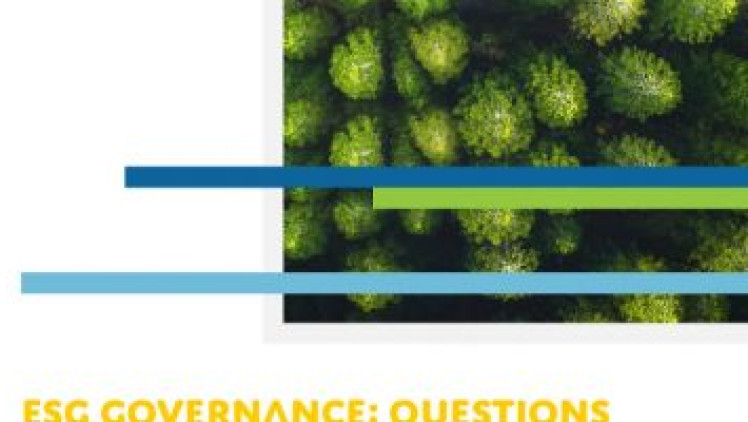 ESG governance: questions boards should ask to lead the sustainability transition