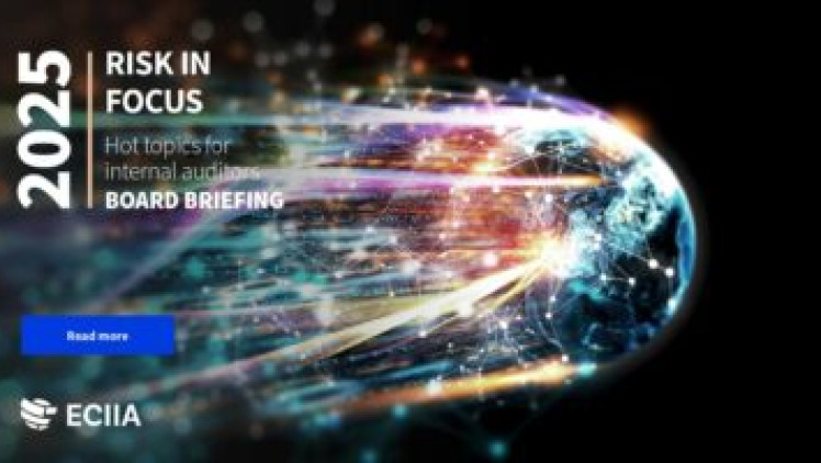 Risk in Focus 2025