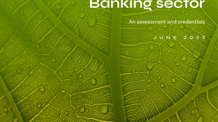 The role of Internal Audit in ESG in the Banking Sector