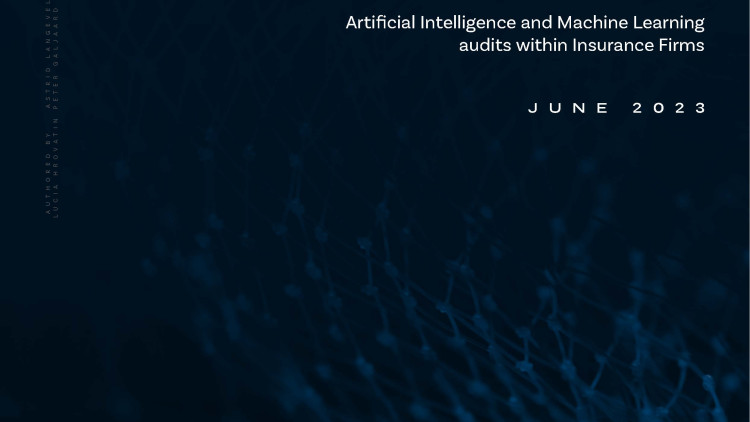 Artificial Intelligence and Machine Learning Audits within Insurance Firms