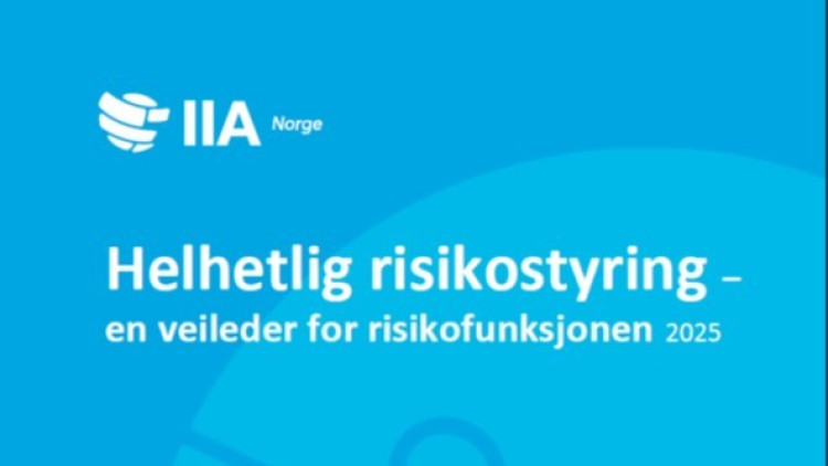 Veileder for risikofunksjonen