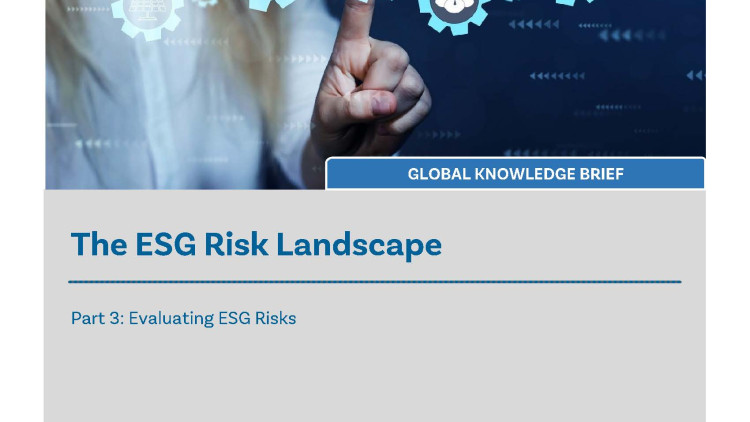 The ESG Landscape part 3