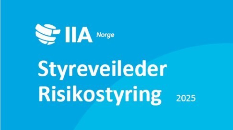 Spørsmål styret bør stille om risikostyringen