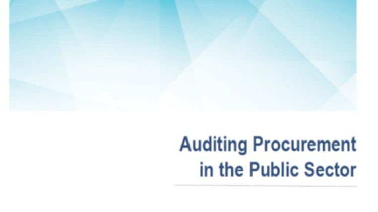 Auditing Procurement in the public sector