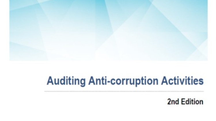 Auditing Anti-corruption Activities