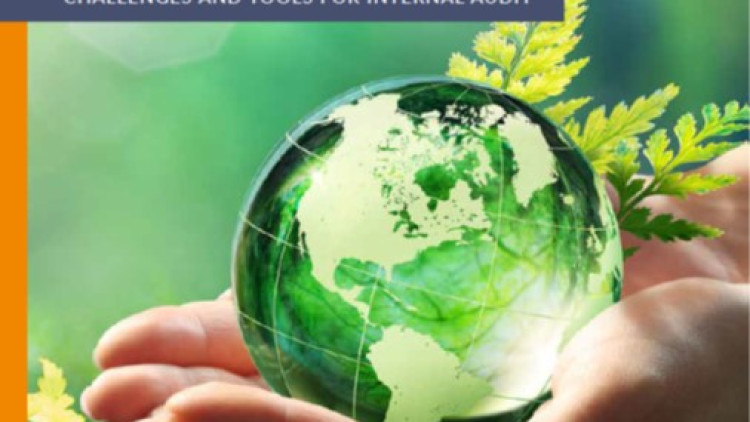 Climate Change and Environmental Risk