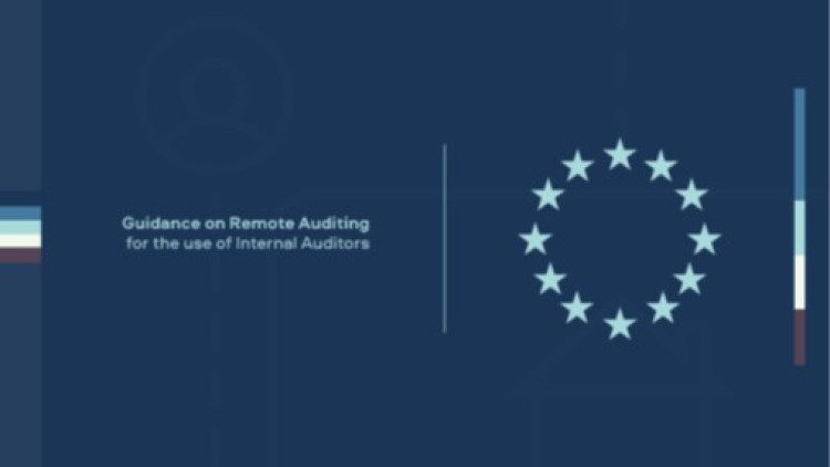 Guidance on Remote Auditing