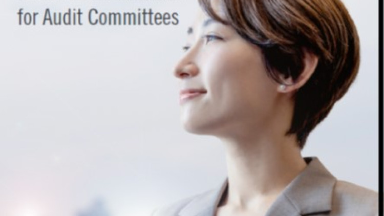 Internal Audit Assessment Tool for Audit Committees