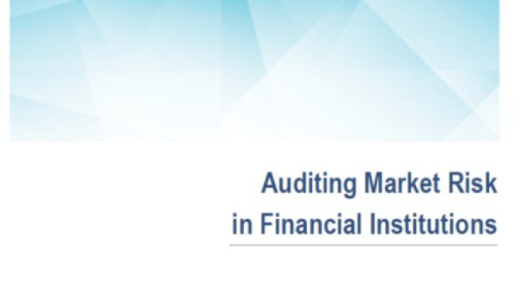 Auditing Market Risk in Financial Institutions