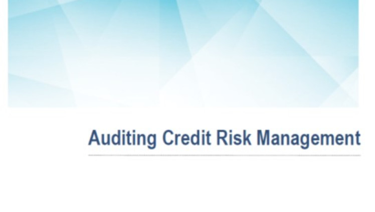 Auditing Credit Risk Management